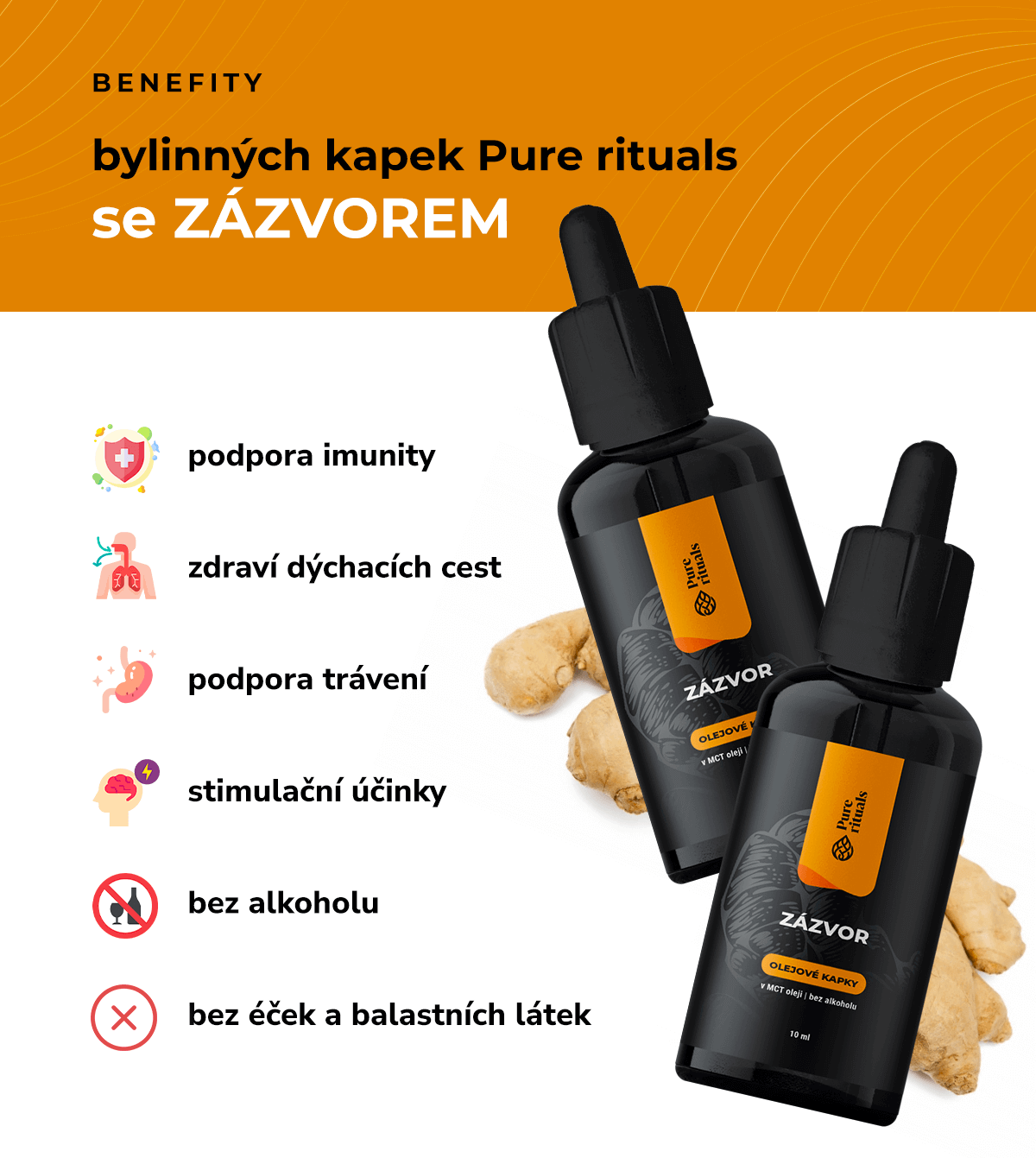 purerituals_kapky_zazvor_infografika (1)